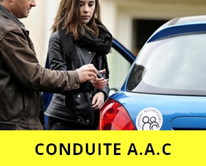 Auto école chaponost
